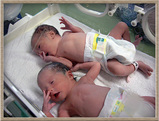 new born twins